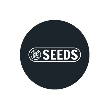Bulk  feminized seeds